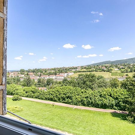 Sejourner Au Chateau De La Roue Grand Appartement Lissieu Esterno foto