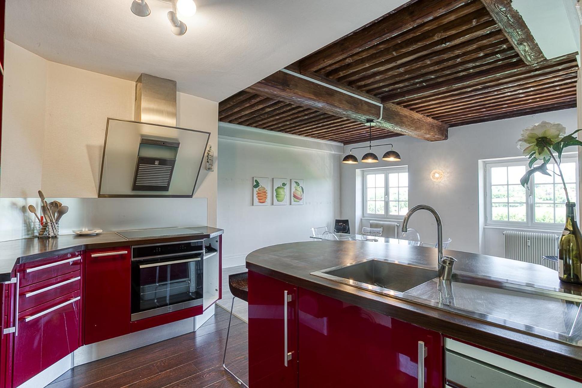 Sejourner Au Chateau De La Roue Grand Appartement Lissieu Esterno foto