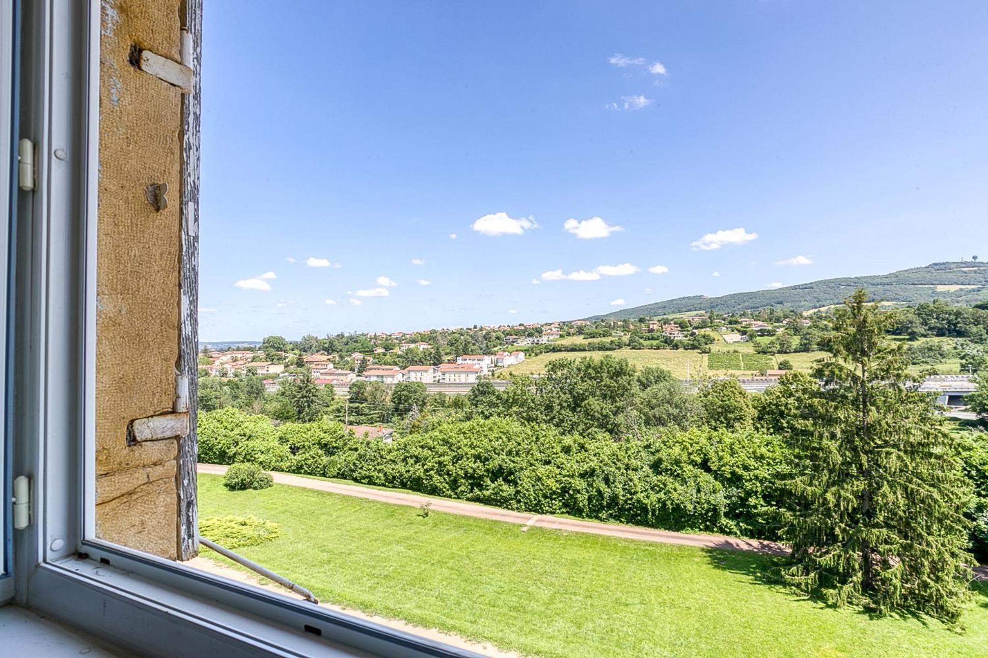 Sejourner Au Chateau De La Roue Grand Appartement Lissieu Esterno foto