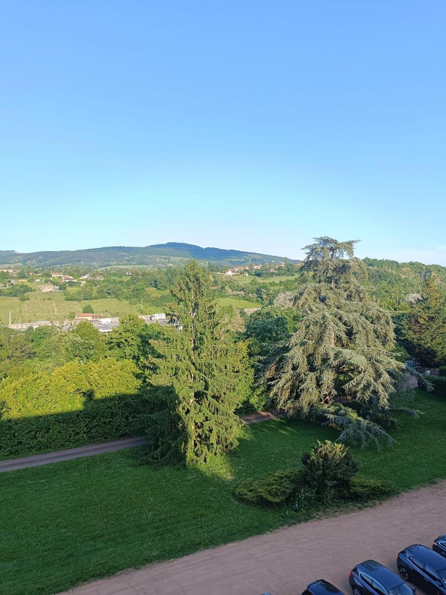Sejourner Au Chateau De La Roue Grand Appartement Lissieu Esterno foto