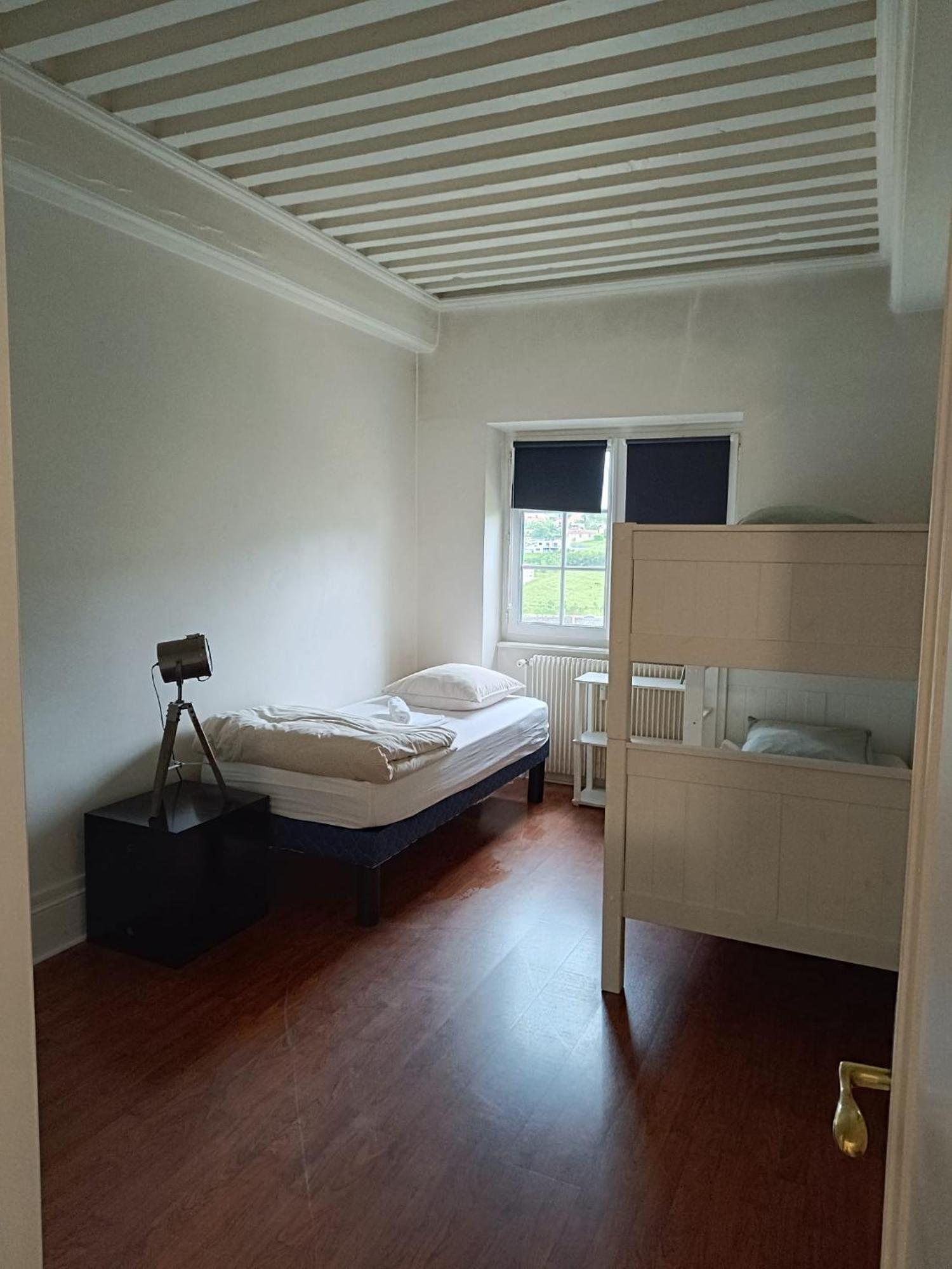 Sejourner Au Chateau De La Roue Grand Appartement Lissieu Esterno foto